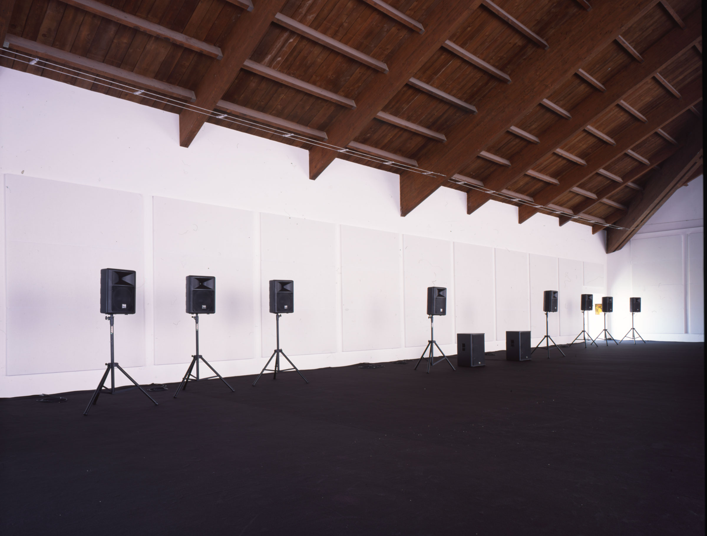 Roberto Cuoghi, u0160uillakku, 2008